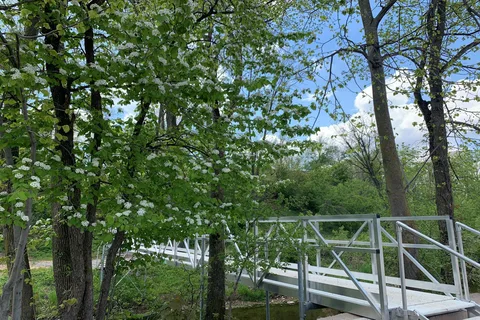 Apple Creek Campground