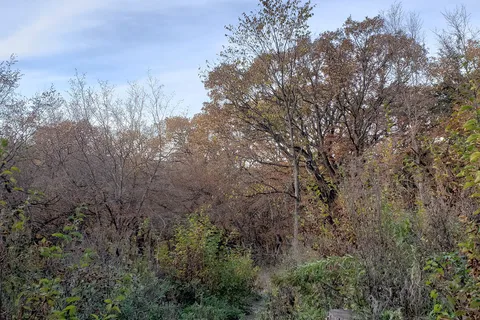 Horse Camp - Newton Hills State Park