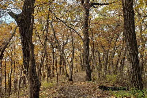 Horse Camp - Newton Hills State Park