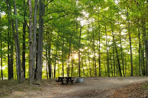 Lake Ann State Forest Campground