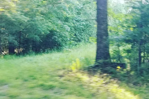 Dixieland Country Cabins and Campground