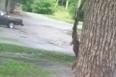 TN40RV Campground