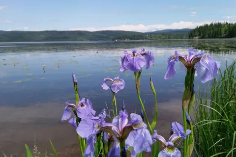 Birch Lake State Recreation Site