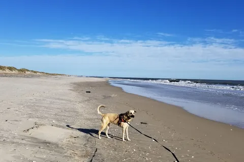 Oregon Inlet Campground - Cape Hatteras National Seashore