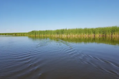 Watchorn Provincial Park