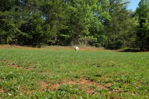 Four Paws Kingdom Campground and Dog Retreat