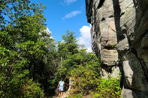 Pilot Mountain State Park
