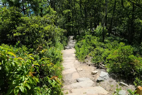 Pilot Mountain State Park