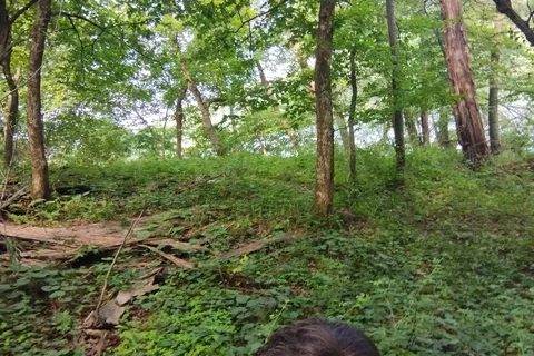 Pine Lake State Park Campground