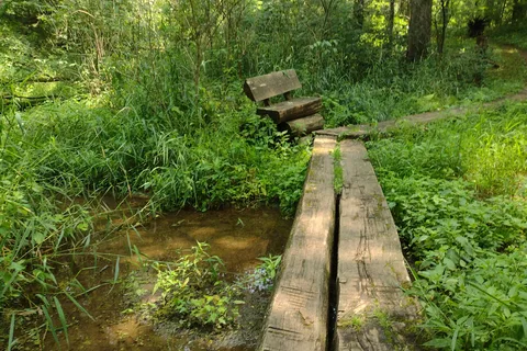 Pine Lake State Park Campground