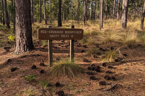 Cheraw State Park