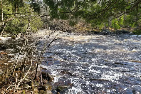 Wildman Adventure Resort - Peshtigo River Outpost