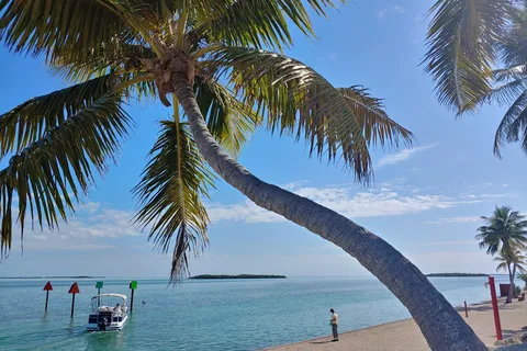 Venture Out Resort
