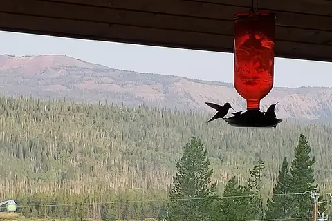 Lava Mountain Lodge