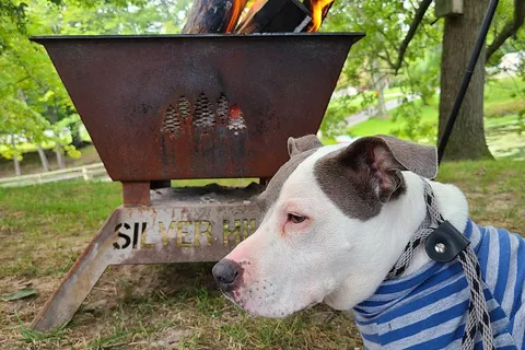 Silver Hills Camp Resort