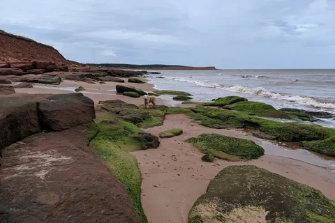 Campbell's Cove Campground