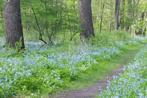 Carley State Park