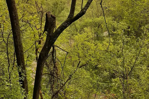 Carley State Park