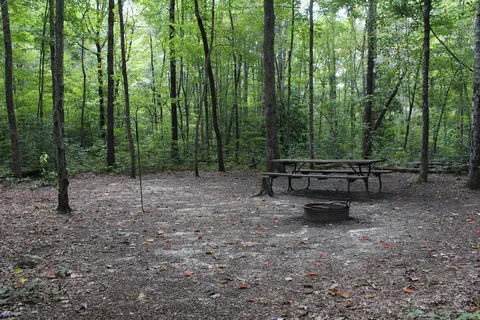 Falls Creek Campground