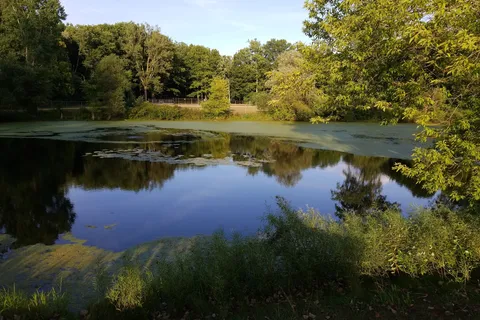 Lansing Cottonwood Campground