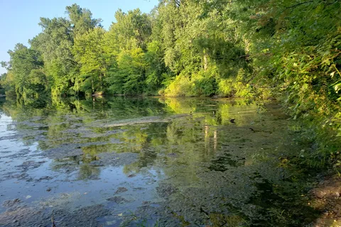 Lansing Cottonwood Campground