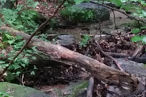 Manor - Cunningham Falls State Park