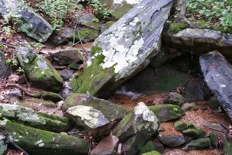 Manor - Cunningham Falls State Park