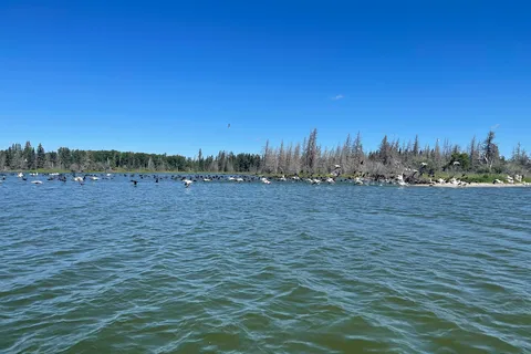 Moose Lake Provincial Park