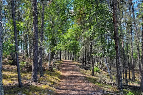 Moose Lake Provincial Park
