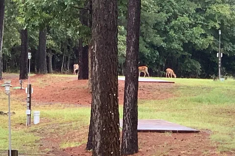 Iron Mountain RV Park