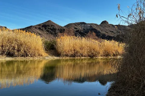Grassy Banks - Big Bend Ranch State Park