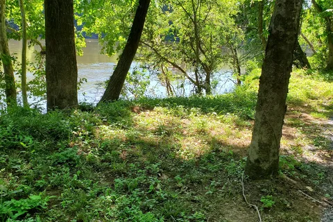 Camp Sherrye on the Coosa