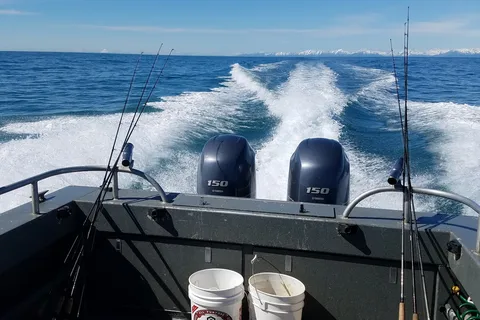 Reel 'Em Inn - Cook Inlet Charters