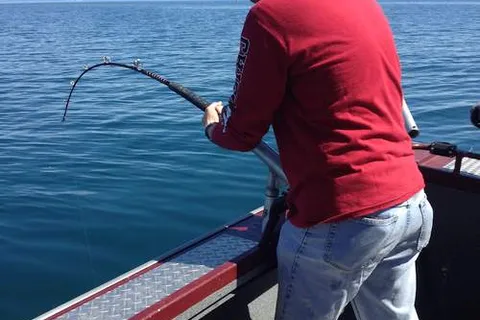Reel 'Em Inn - Cook Inlet Charters