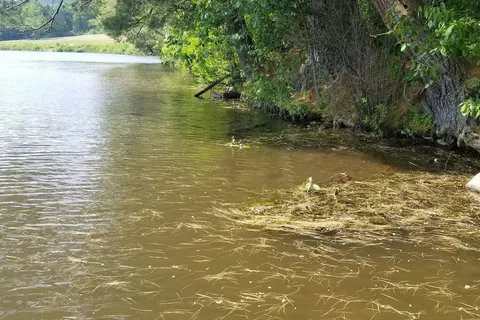 Allegany State Park - Red House Area