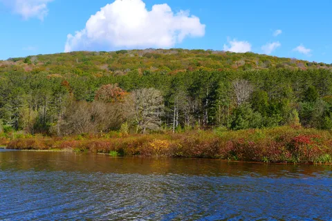 Allegany State Park - Red House Area