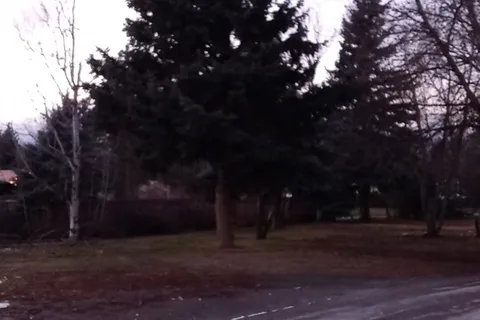 Carriage House Inn and RV Park
