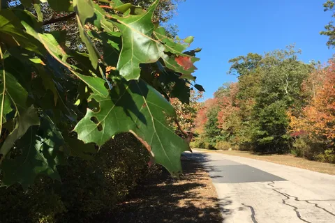 Wordens Pond Family Campground