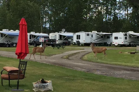Airport Inn Motel and RV Park