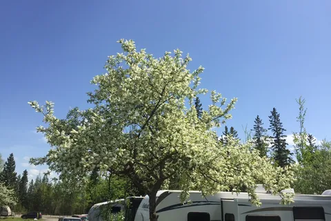 Northern Experience RV