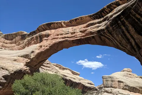 Natural Bridges National Monument Campground