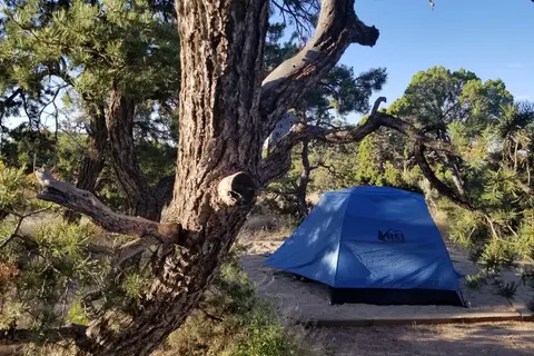 Natural Bridges National Monument Campground