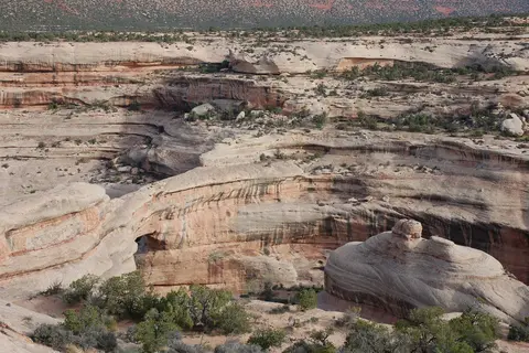 Natural Bridges National Monument Campground