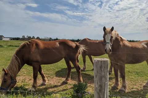Panmure Island Provincial Park