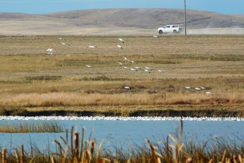 Lake McGregor Provincial Recreational Area