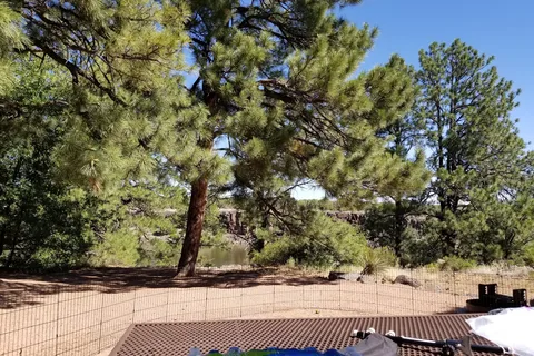 Fool Hollow Lake Recreational Area