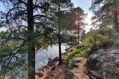 Fool Hollow Lake Recreational Area