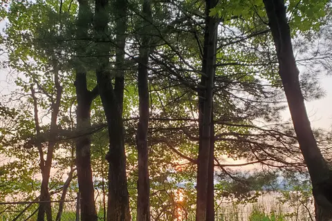 Lynn Ann's Campground
