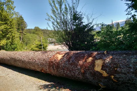 Radley Park Campground