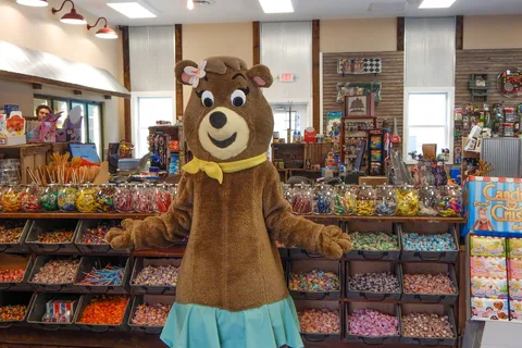 Yogi Bear's Jellystone Park™ Camp-Resort: Williamsport